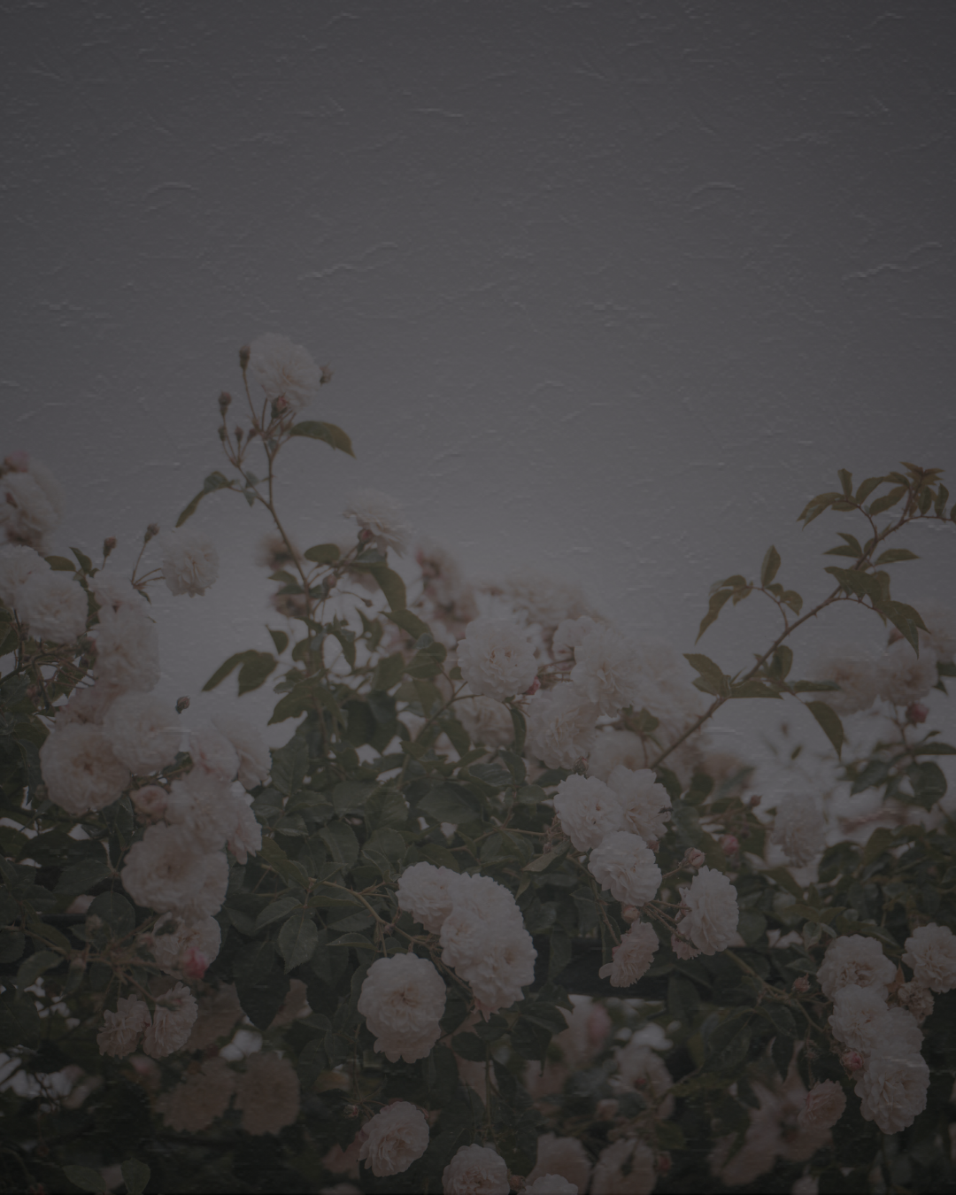 Motherboard HQ | Applied AI for Neurospicy Motherhood